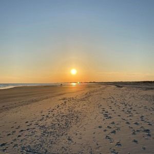 Meet your Posher, Oluwatomisin